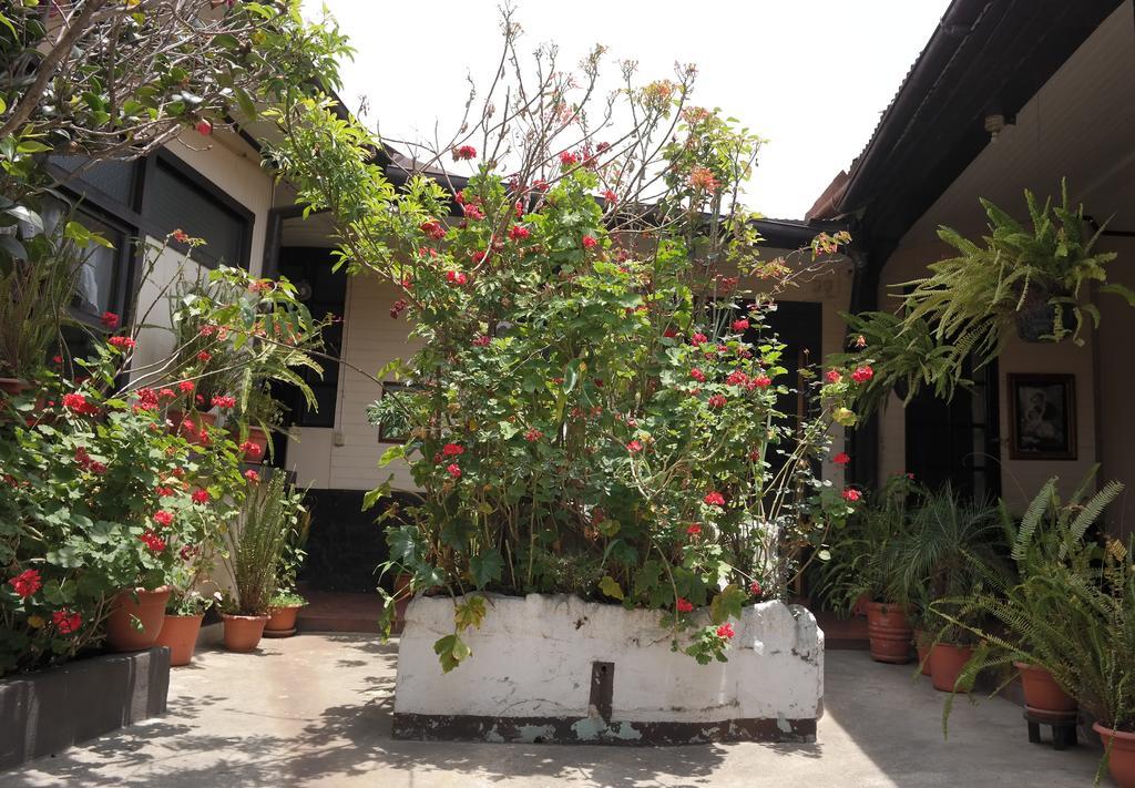 Casa Seibel Hostel Quetzaltenango Luaran gambar
